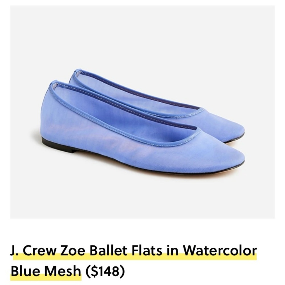 Jcrew Zoe Ballet Flat and Watercolor Blue Mesh